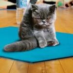 Restorative Yoga