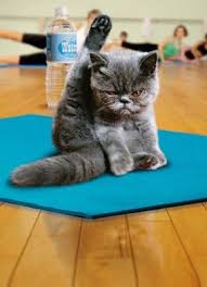 Restorative Yoga 1